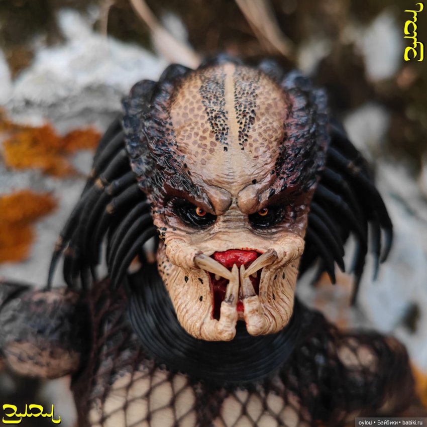 [58] Собачьи Рёбра — Домашние коллекции кукол: фото собраний (фото 4)