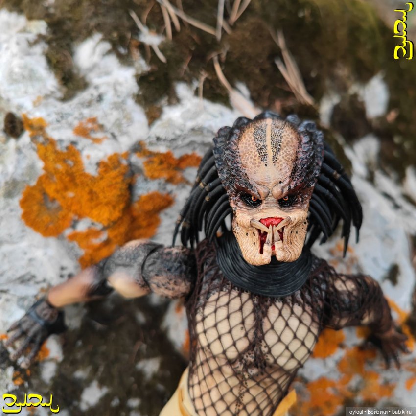 [58] Собачьи Рёбра — Домашние коллекции кукол: фото собраний (фото 5)