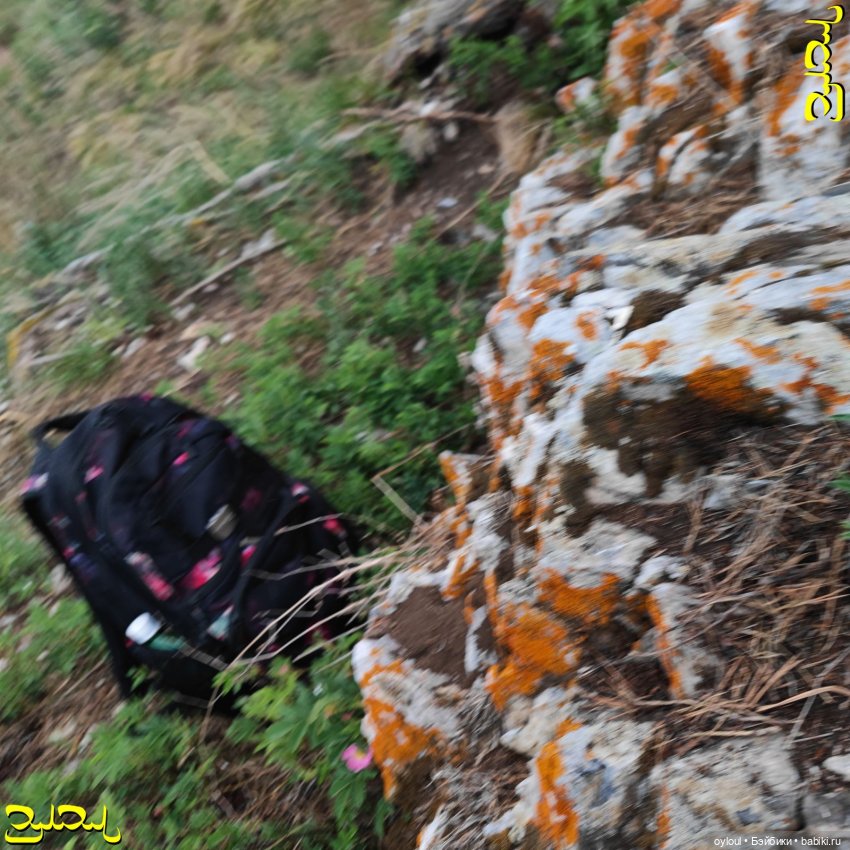 [58] Собачьи Рёбра — Домашние коллекции кукол: фото собраний (фото 7)