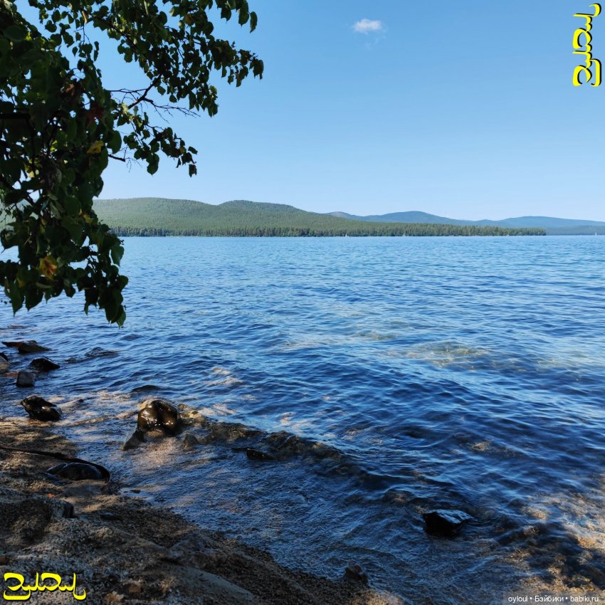 [62] Первый САП комом — Кукольная миниатюра своими руками: еда (фото 9)