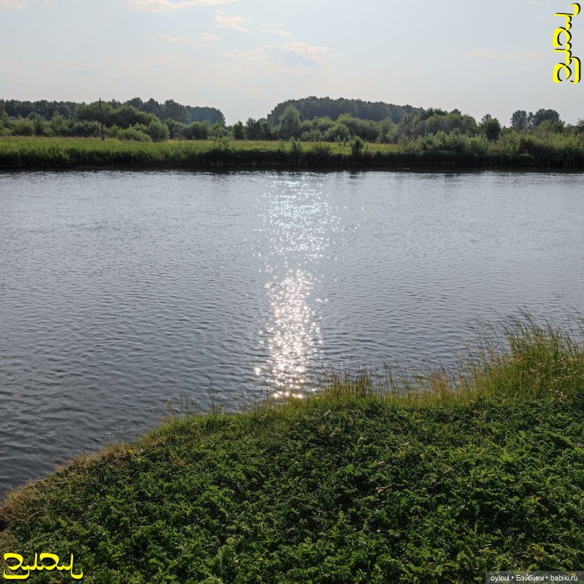 [65] Первый настоящий хище-сплав