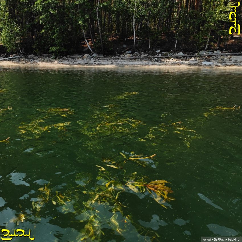 [67] По Теренкулю на ките