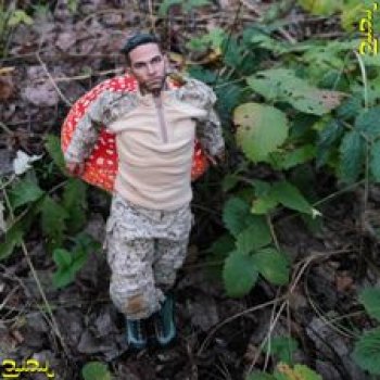 [69] Белые и красные