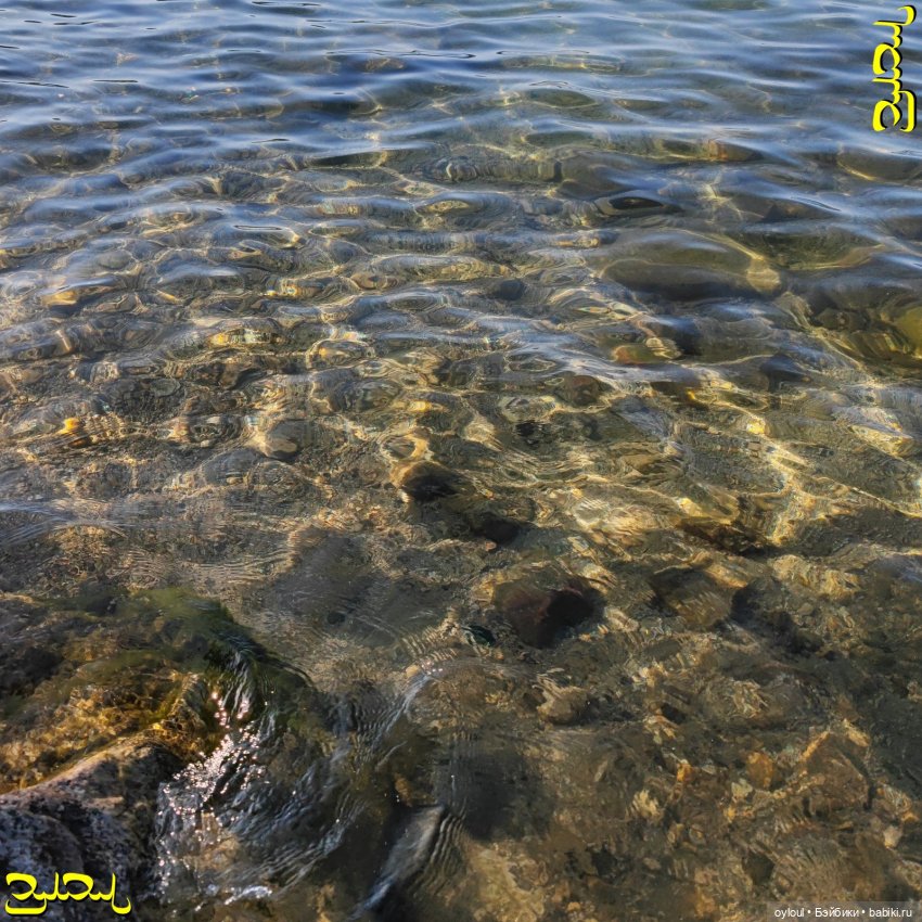 [70] Тургояк — Домашние коллекции кукол: фото собраний (фото 5)