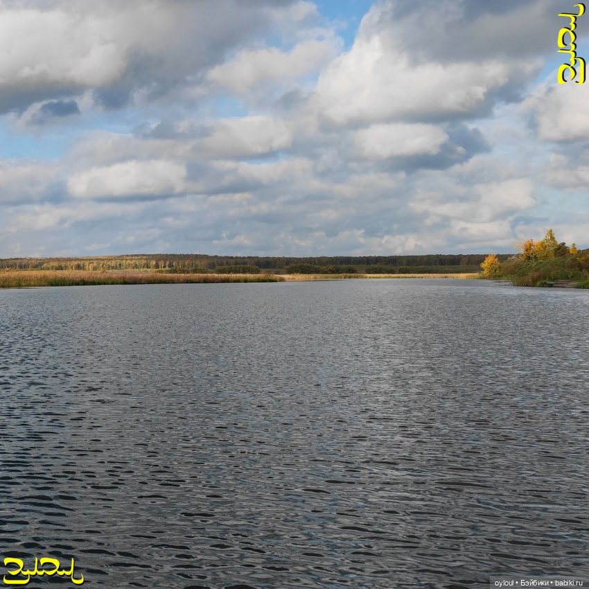 [79] УклюЧЕны и проЧЕе — Кукольная миниатюра своими руками: еда (фото 5)