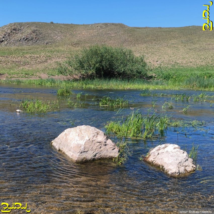 [81] Сап №2, вполне удачный (фото 6)