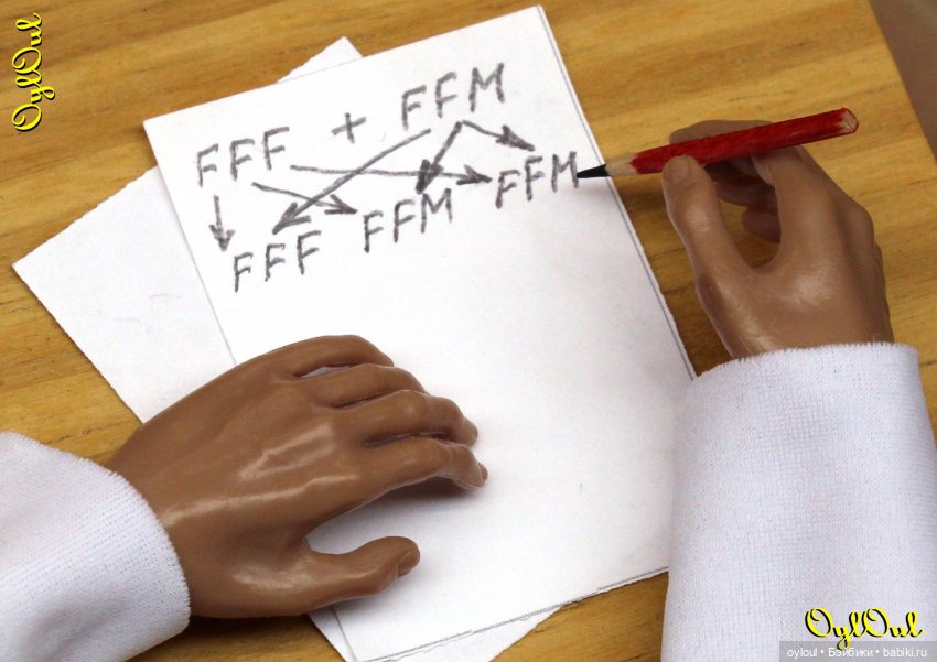 [473] «Ах ты, бессовестный» (фото 2)