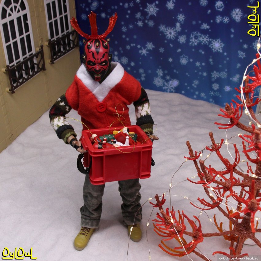 {4} Хвощ Даштаванский Новогодний и Джет Мороз | Бэйбики {4} Хвощ Даштаванский Новогодний и Джет Мороз (фото 7)