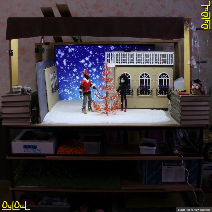 {4} Хвощ Даштаванский Новогодний и Джет Мороз | Бэйбики {4} Хвощ Даштаванский Новогодний и Джет Мороз