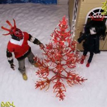 {4} Хвощ Даштаванский Новогодний и Джет Мороз