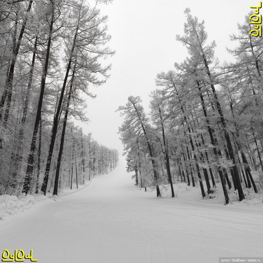 {15} Экстремальное катание (фото 2)