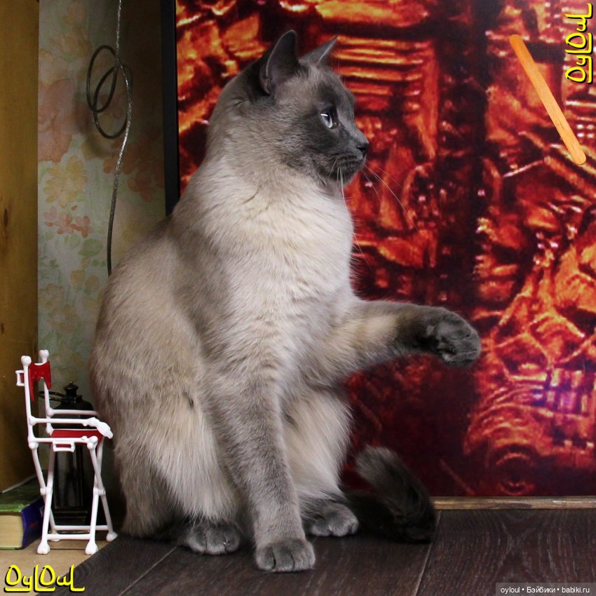 {11} Последняя ёлка 2024 — Кукольная миниатюра своими руками: еда