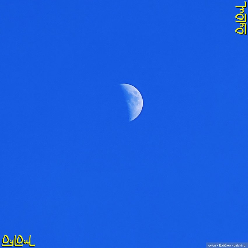 {23} Геологический разрез протерозоя у скалы Аргус