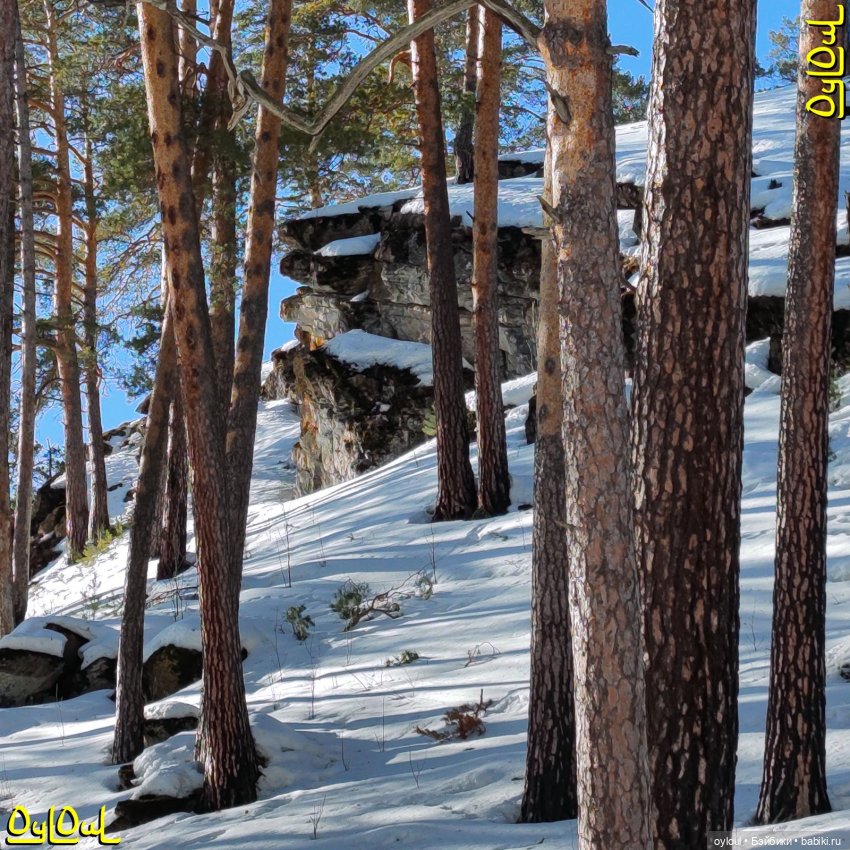 {23} Геологический разрез протерозоя у скалы Аргус (фото 9)