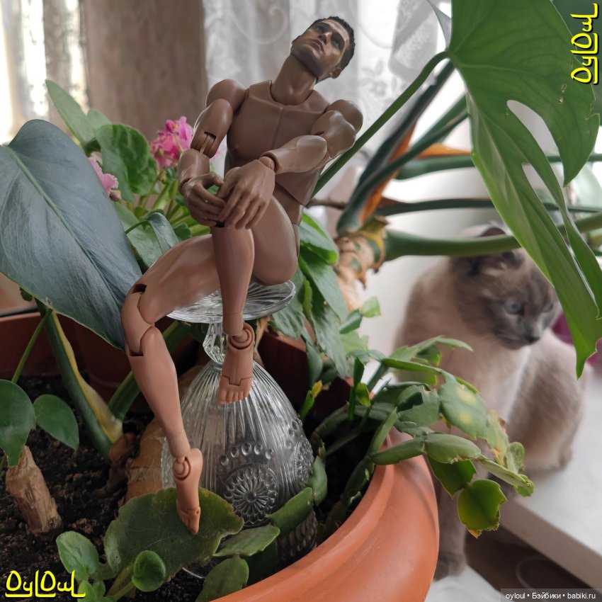 {24} Прямо в трепетные объятия (фото 5)