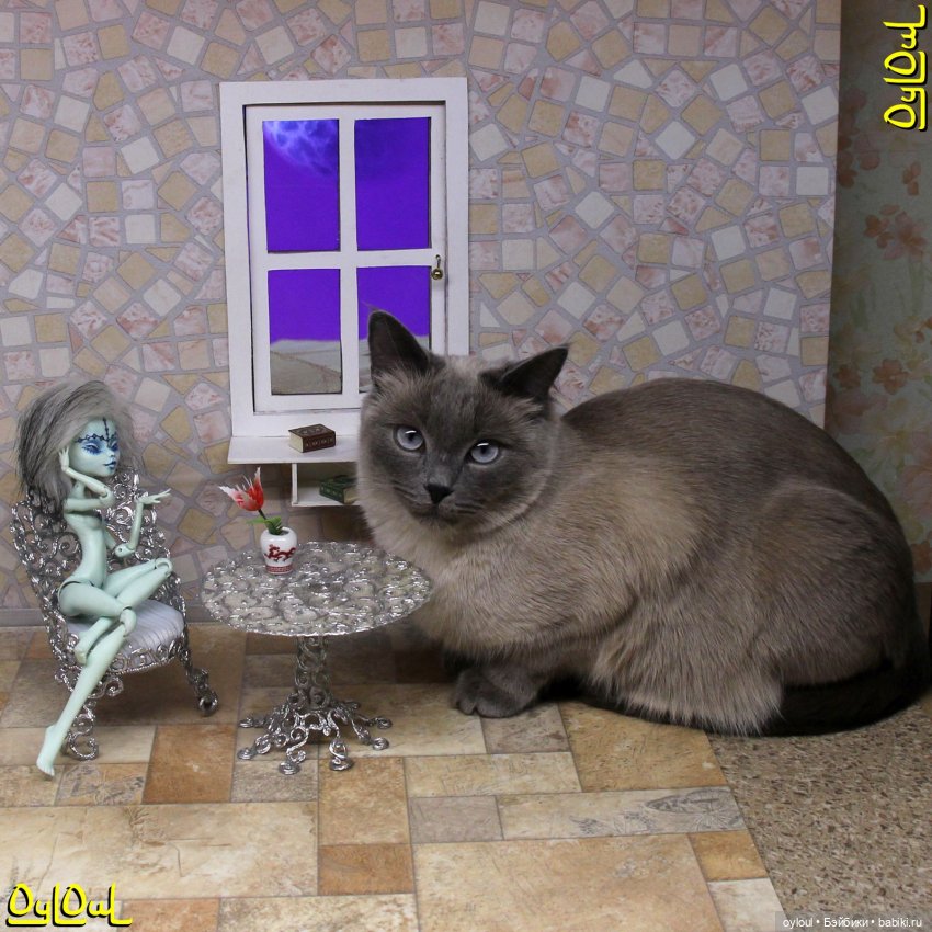 {24} Прямо в трепетные объятия