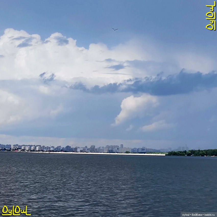 {63} Пляжные шорты 1:6 — Одежда и обувь для кукол своими руками: фото