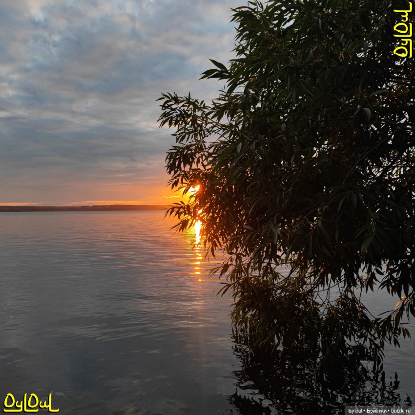 {76} Ненастье в прямом эфире