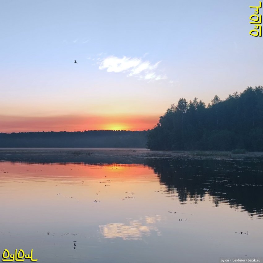 {85} Бесшовные купальники / Выкройки (фото 6)