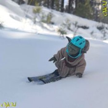 ˂24˃ Даунхиллом по Егозе