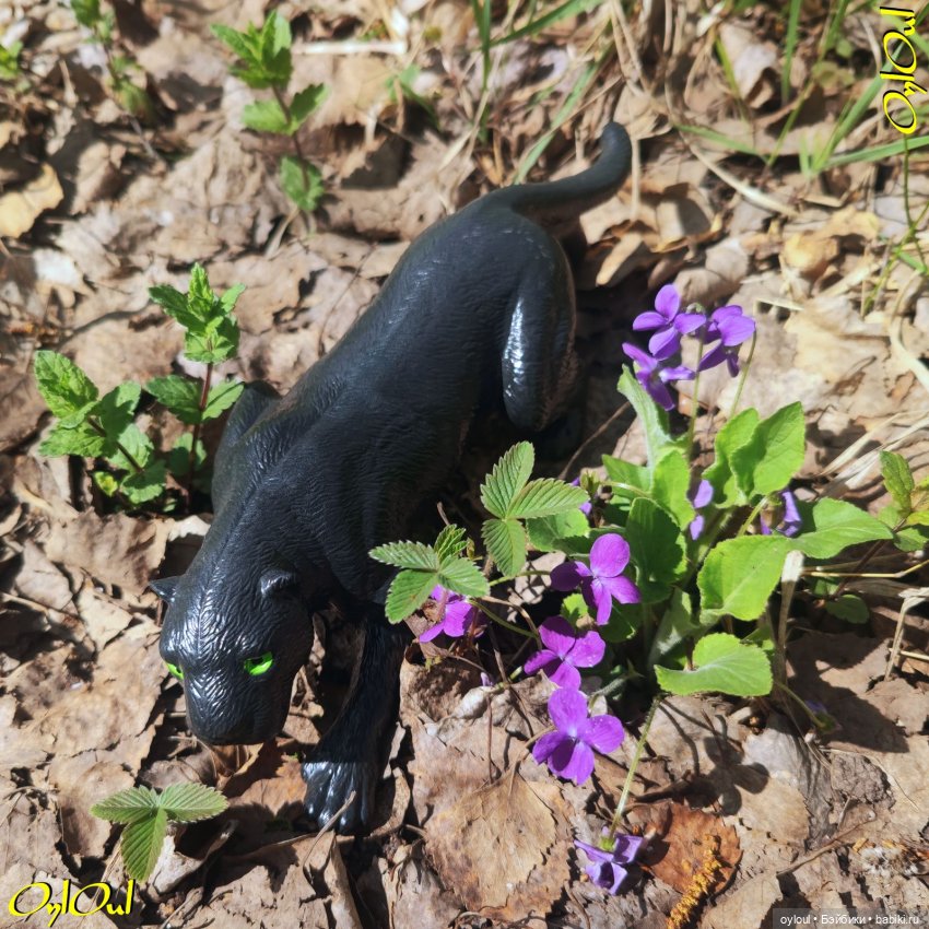 ˂53˃ Я порядочная девушка