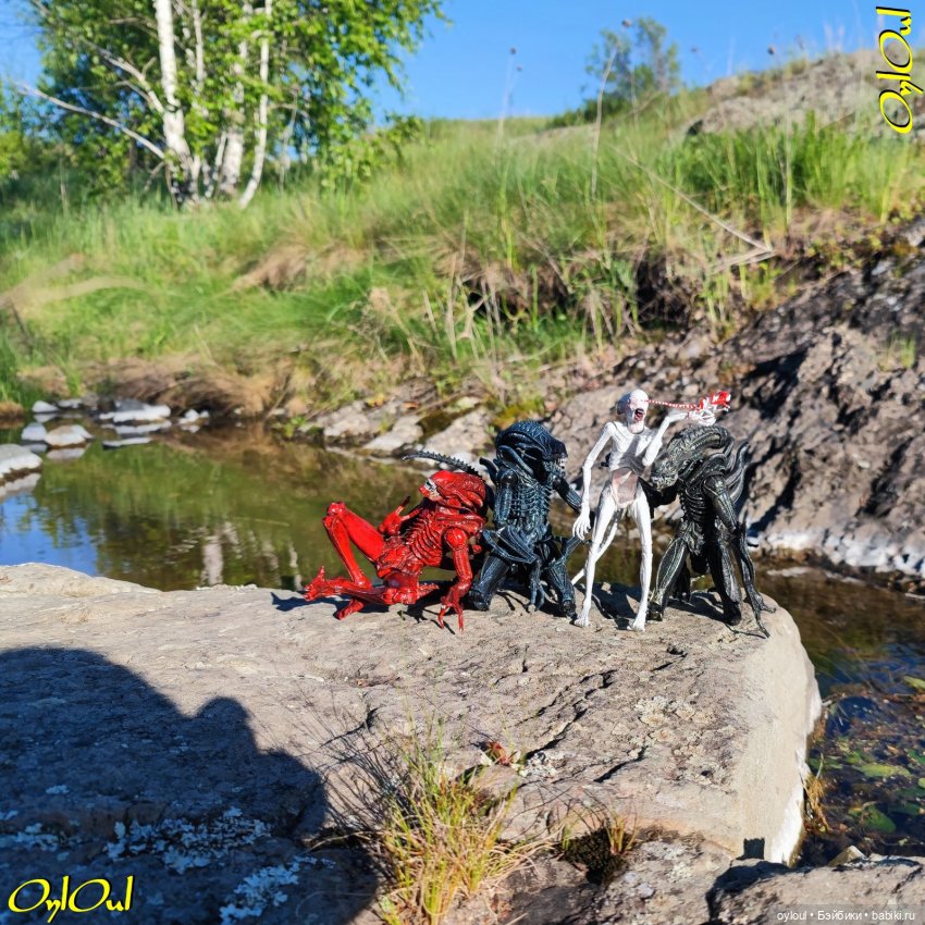 ˂71˃ Заповедник ксеноморфов