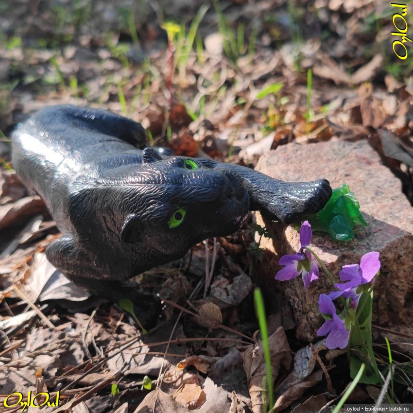 ˂53˃ Я порядочная девушка (фото 5)