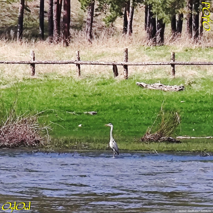 ˂52˃ Сикияз-Тамак — Кукольные фотоистории и сериалы: комиксы (фото 6)