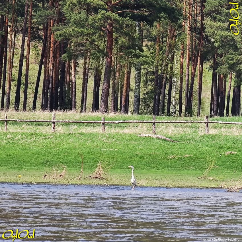 ˂52˃ Сикияз-Тамак — Кукольные фотоистории и сериалы: комиксы (фото 5)