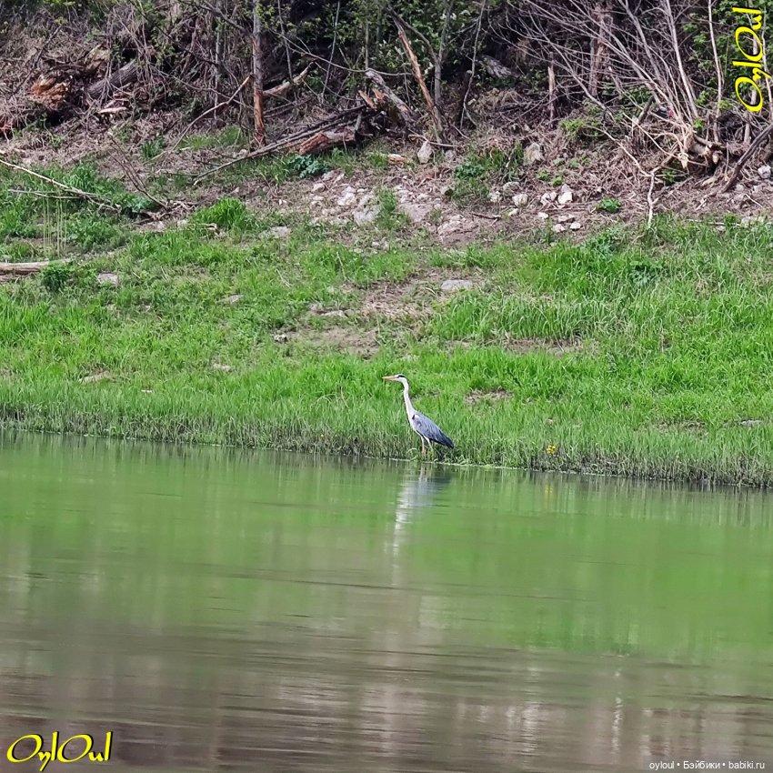 ˂54˃ Великаны и лилипуты — Кукольные фотоистории и сериалы: комиксы