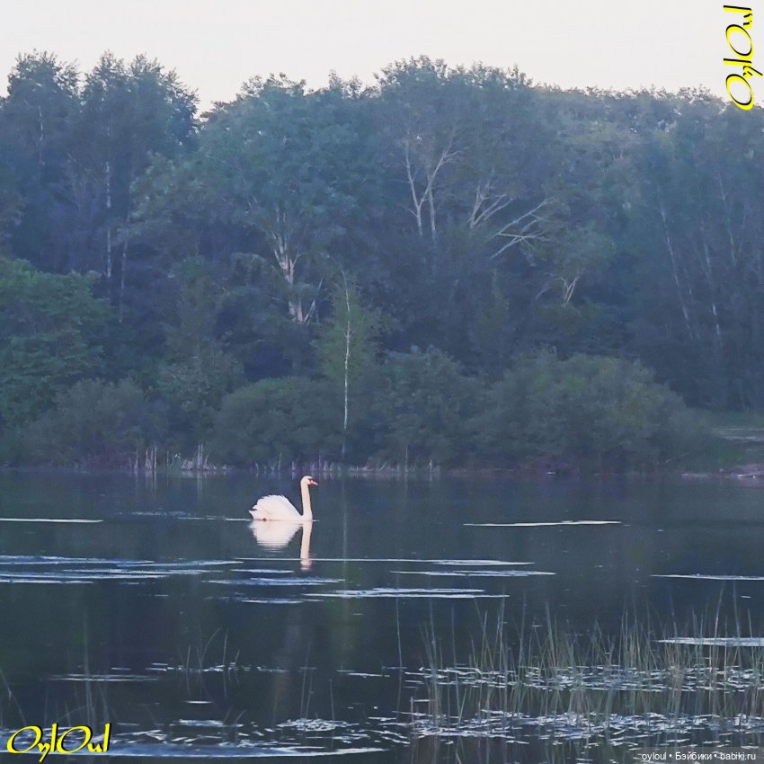 ˂58˃ Первый сап-сплав 2025