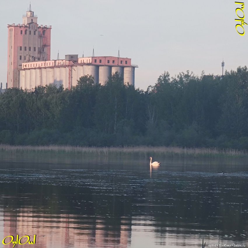 ˂58˃ Первый сап-сплав 2025