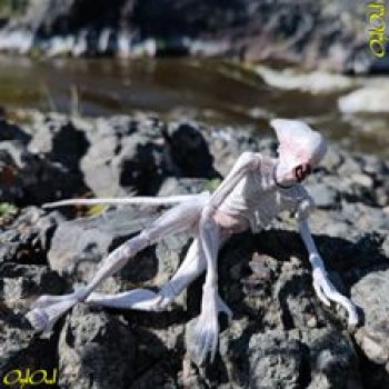 ˂59˃ Няшка Бяша