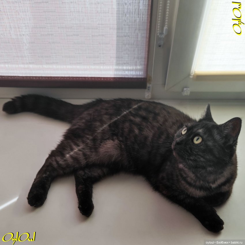 ˂67˃ Бирюзововое — Одежда и обувь для кукол своими руками: фото