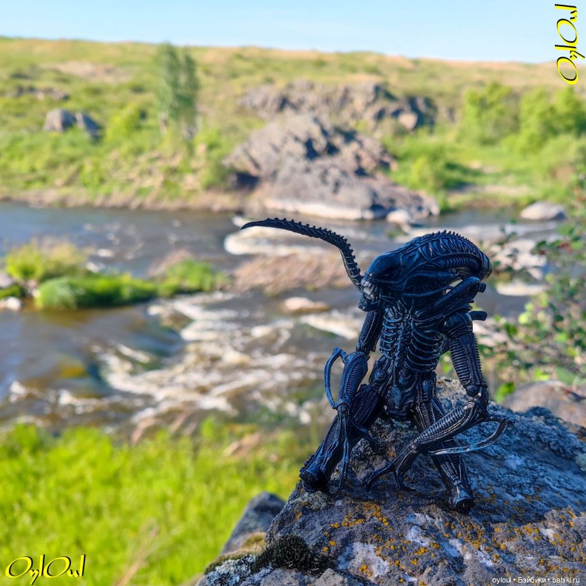 ˂71˃ Заповедник ксеноморфов