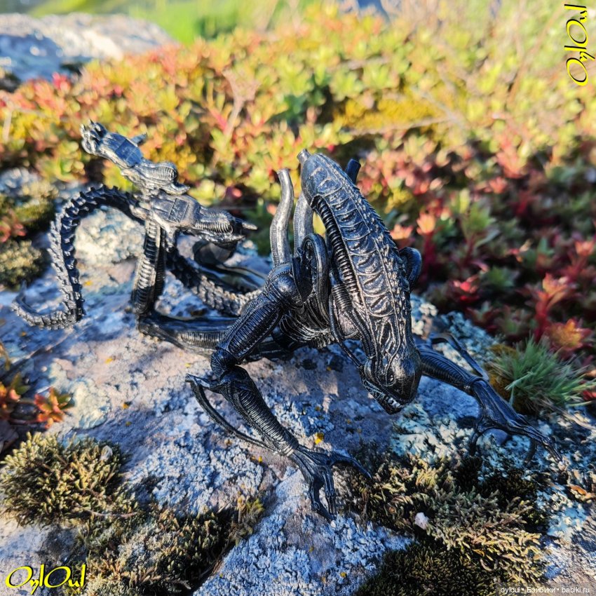 ˂71˃ Заповедник ксеноморфов