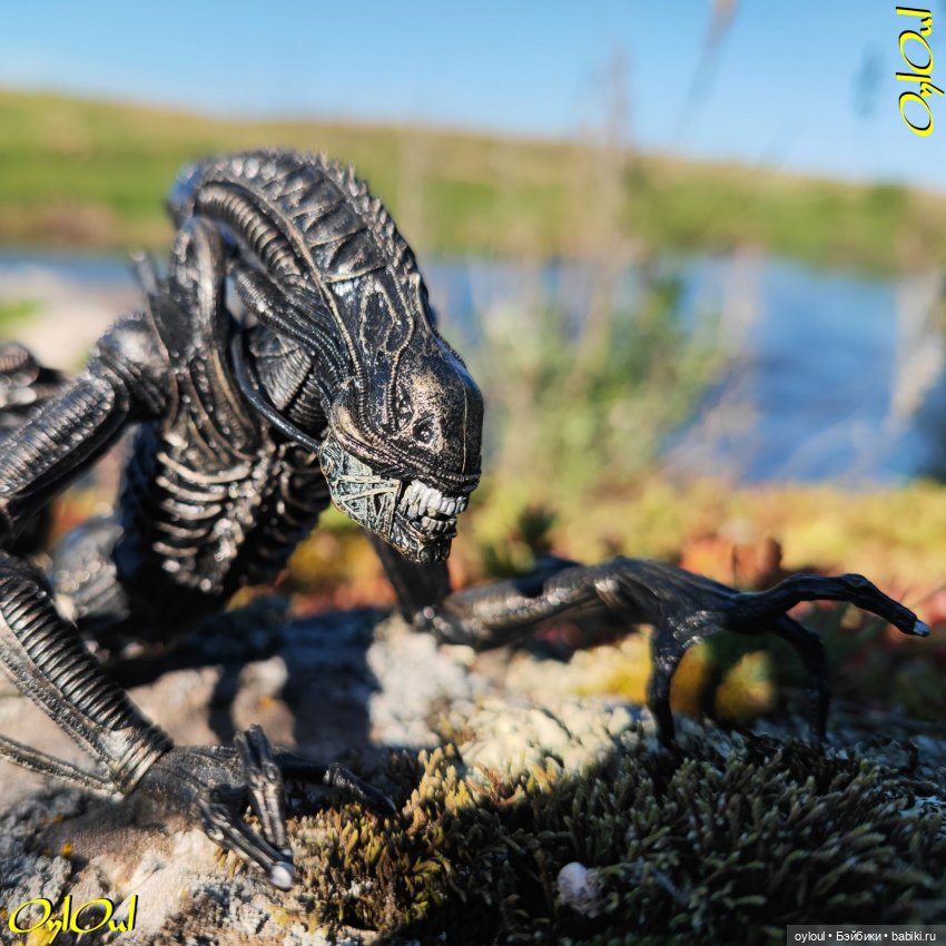 ˂71˃ Заповедник ксеноморфов