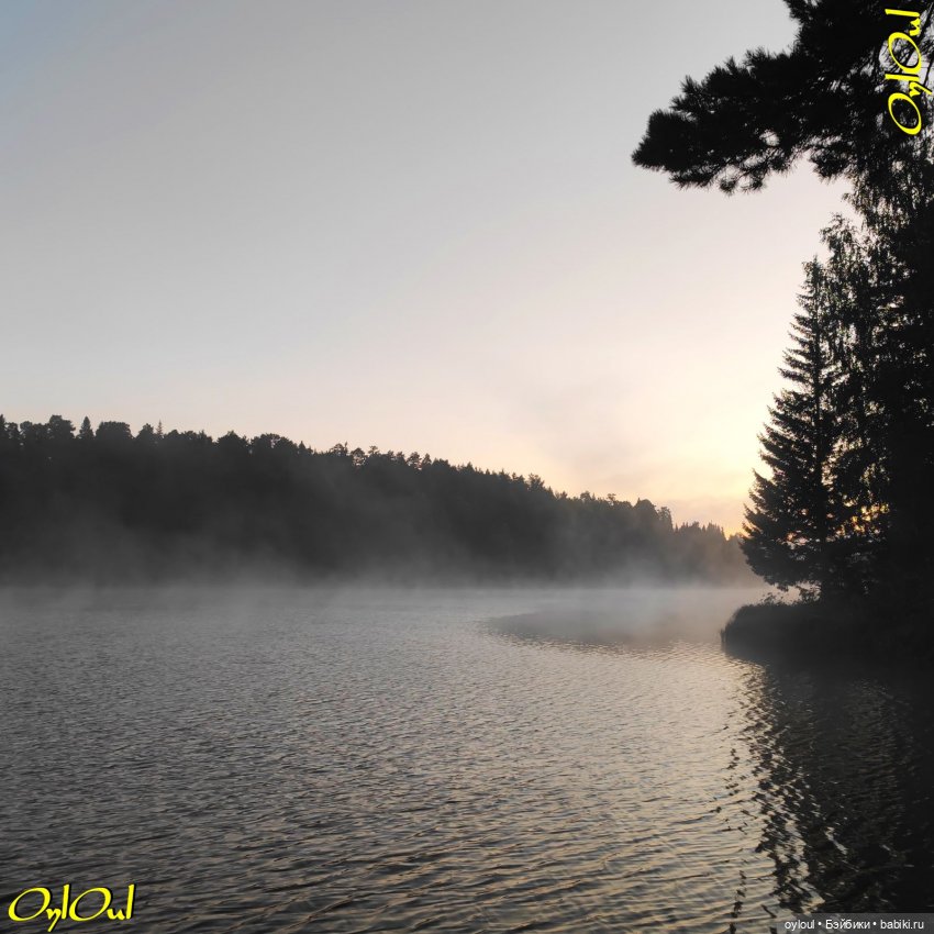 ˂114˃ Розовововое на зелёновом (фото 7)