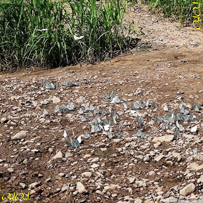 ˂72˃ Не будем хандрить — Кукольные фотоистории и сериалы: комиксы (фото 4)