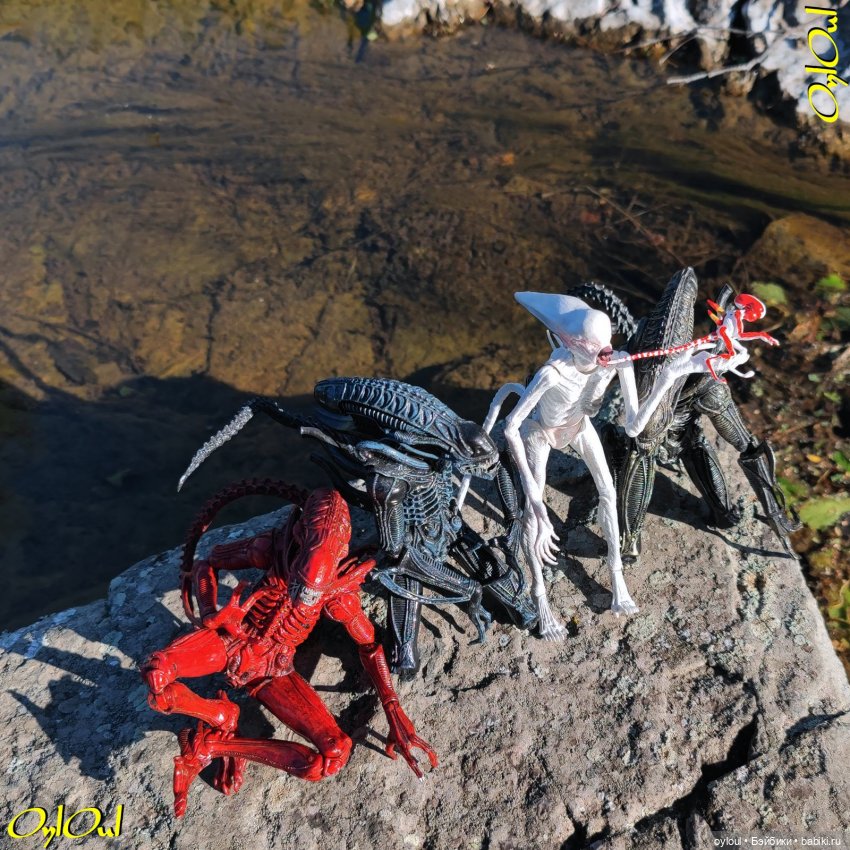 ˂71˃ Заповедник ксеноморфов