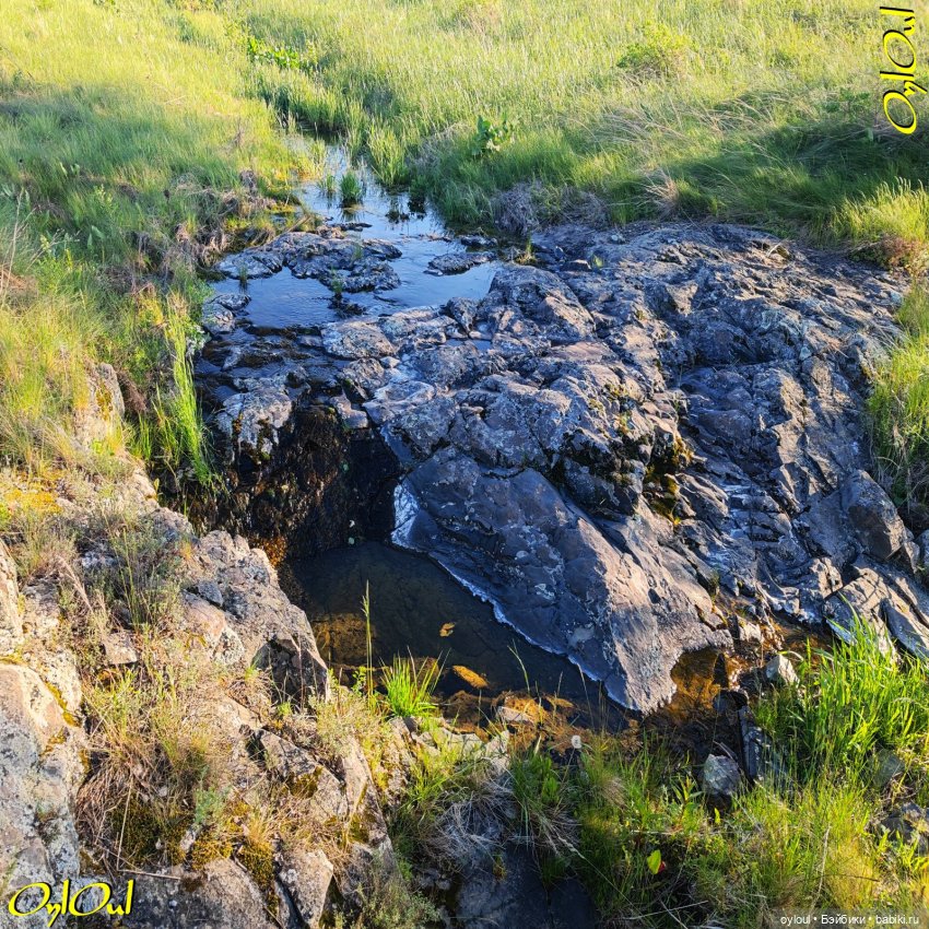 ˂71˃ Заповедник ксеноморфов