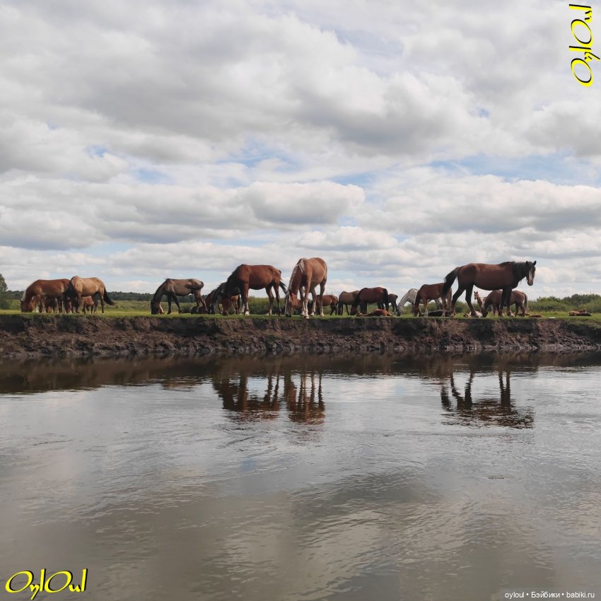 ˂117˃ Розовое в розовом на розовом (фото 3)
