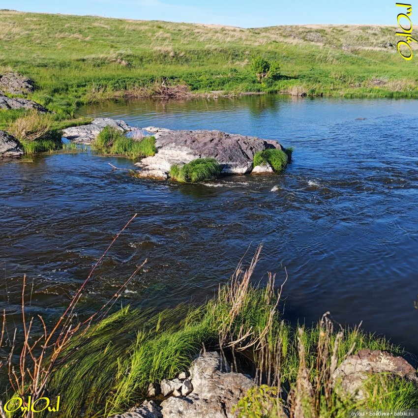 ˂71˃ Заповедник ксеноморфов