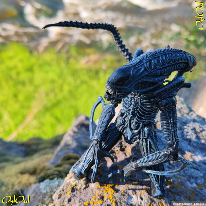 ˂71˃ Заповедник ксеноморфов (фото 10)