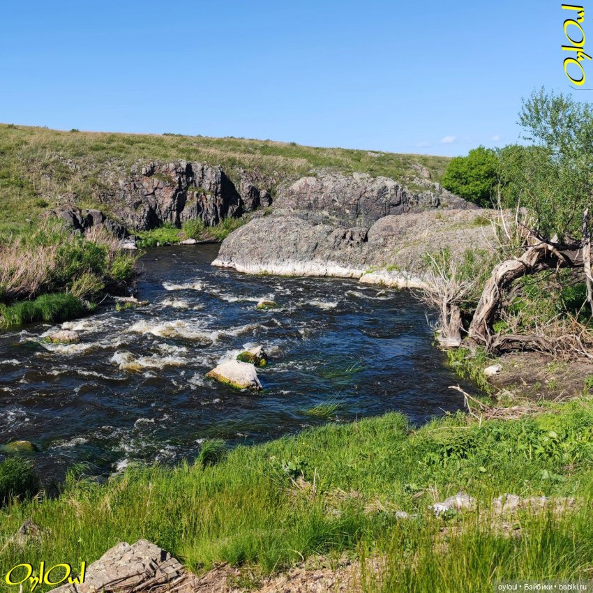 ˂71˃ Заповедник ксеноморфов (фото 5)