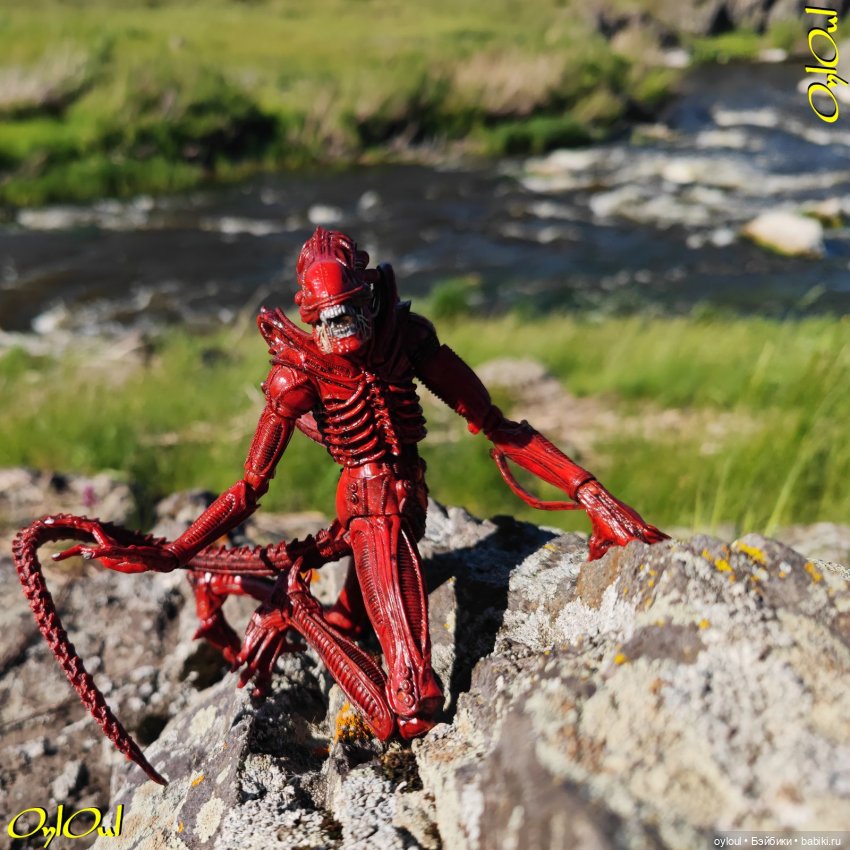 ˂71˃ Заповедник ксеноморфов (фото 2)