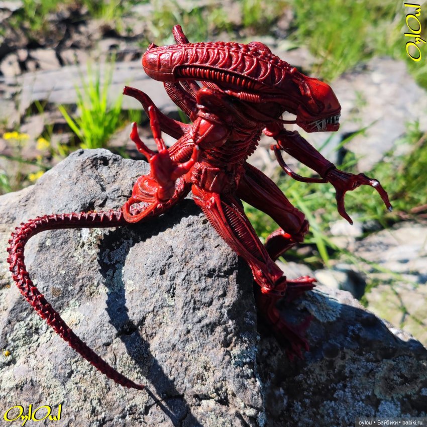 ˂71˃ Заповедник ксеноморфов (фото 8)