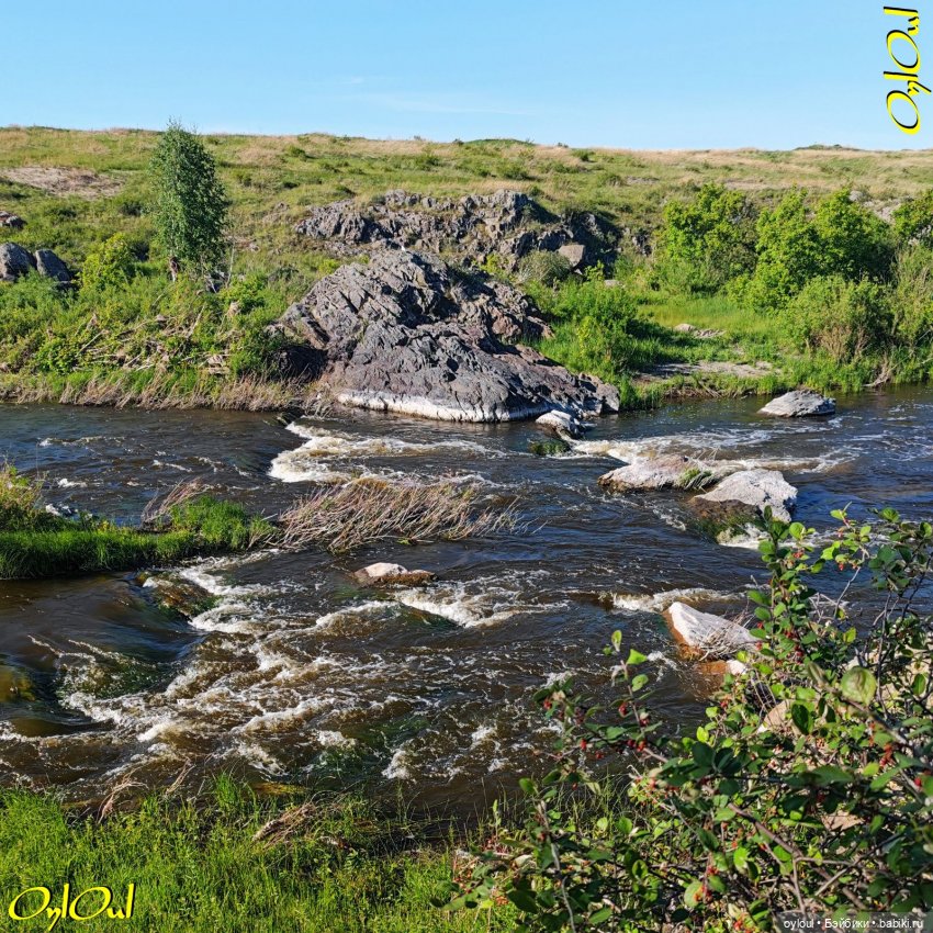 ˂71˃ Заповедник ксеноморфов