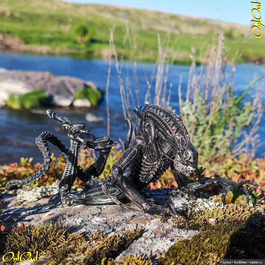 ˂71˃ Заповедник ксеноморфов