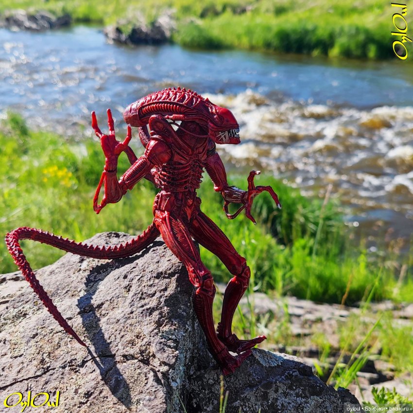 ˂71˃ Заповедник ксеноморфов (фото 7)